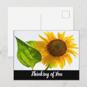 Zonnebloem Briefkaart (Voorkant / Achterkant)