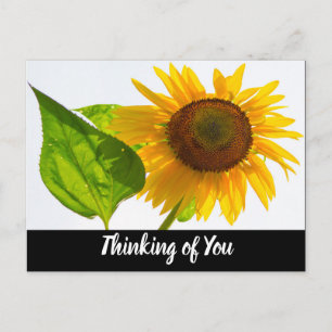 Zonnebloem Briefkaart