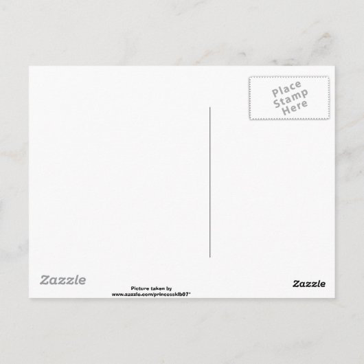  zonnebloem briefkaart (Achterkant)