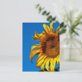 Zonnebloem - Briefkaart (Staand voorkant)