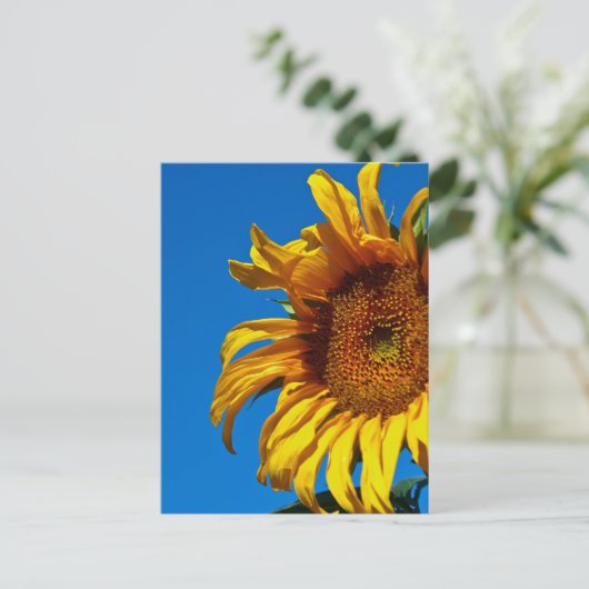Zonnebloem - Briefkaart (Staand voorkant)