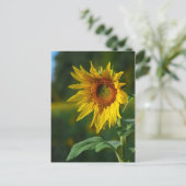 Zonnebloem Briefkaart (Staand voorkant)