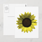Zonnebloem Briefkaart (Voorkant / Achterkant)