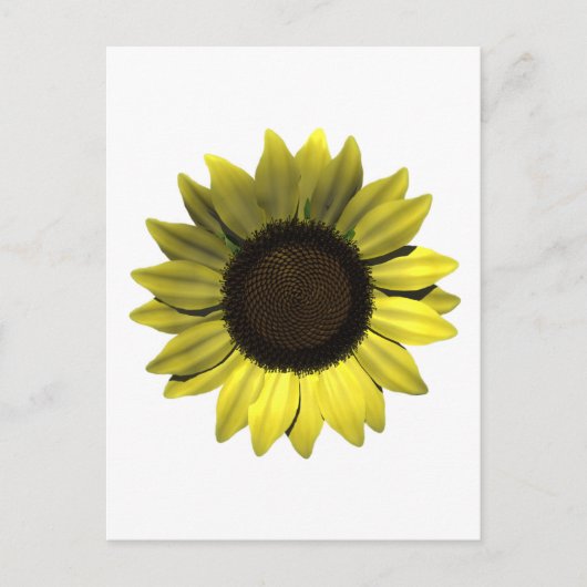 Zonnebloem Briefkaart (Voorkant)