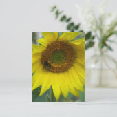 zonnebloem briefkaart (Staand voorkant)