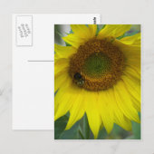 zonnebloem briefkaart (Voorkant / Achterkant)