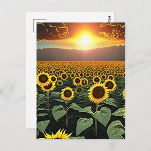 zonnebloem briefkaart (Voorkant / Achterkant)