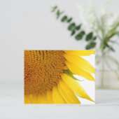Zonnebloem Briefkaart (Staand voorkant)