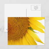 Zonnebloem Briefkaart (Voorkant / Achterkant)