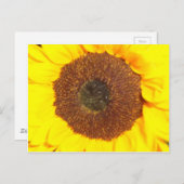 Zonnebloem Briefkaart (Voorkant / Achterkant)