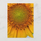 Zonnebloem Briefkaart (Voorkant)