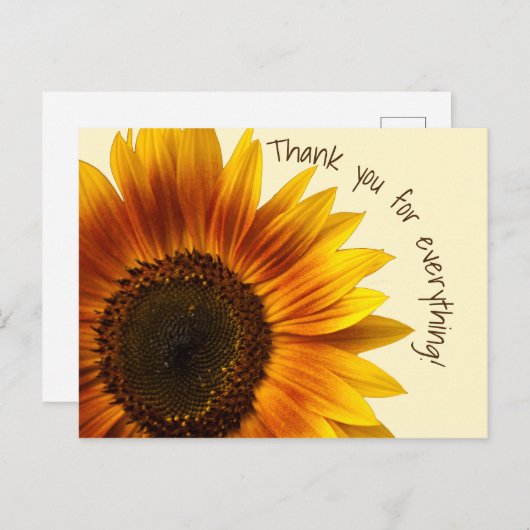 Zonnebloem Briefkaart (Voorkant / Achterkant)