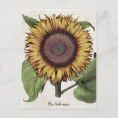  zonnebloem briefkaart (Voorkant)