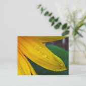 Zonnebloem Briefkaart (Staand voorkant)
