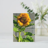 Zonnebloem Briefkaart (Staand voorkant)