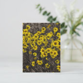 Zonnebloem Briefkaart (Staand voorkant)