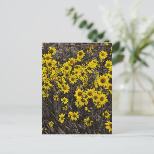 Zonnebloem Briefkaart (Staand voorkant)