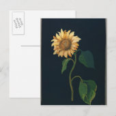 Zonnebloem Briefkaart (Voorkant / Achterkant)