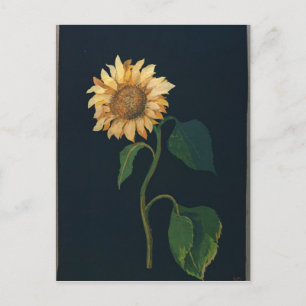 Zonnebloem Briefkaart