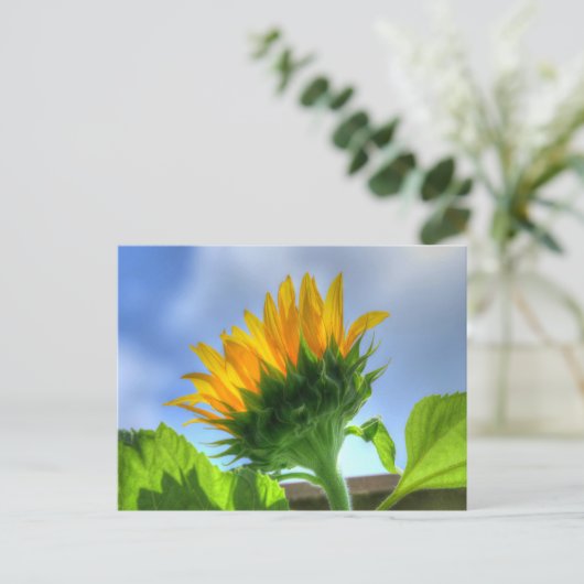 Zonnebloem Briefkaart (Staand voorkant)