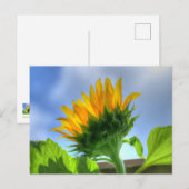 Zonnebloem Briefkaart (Voorkant / Achterkant)