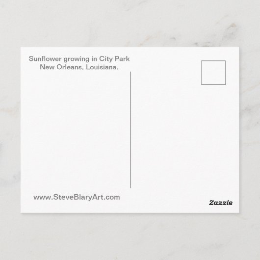 Zonnebloem Briefkaart (Achterkant)