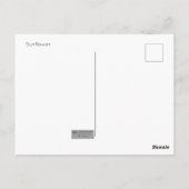 Zonnebloem Briefkaart (Achterkant)