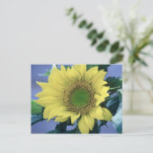 Zonnebloem Briefkaart (Staand voorkant)