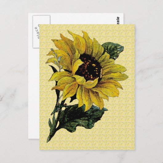  zonnebloem briefkaart (Voorkant / Achterkant)