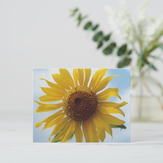 Zonnebloem Briefkaart (Staand voorkant)