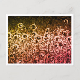 "Zonnebloem Brigade" briefkaart