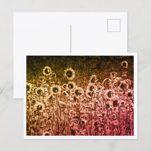 "Zonnebloem Brigade" briefkaart (Voorkant / Achterkant)