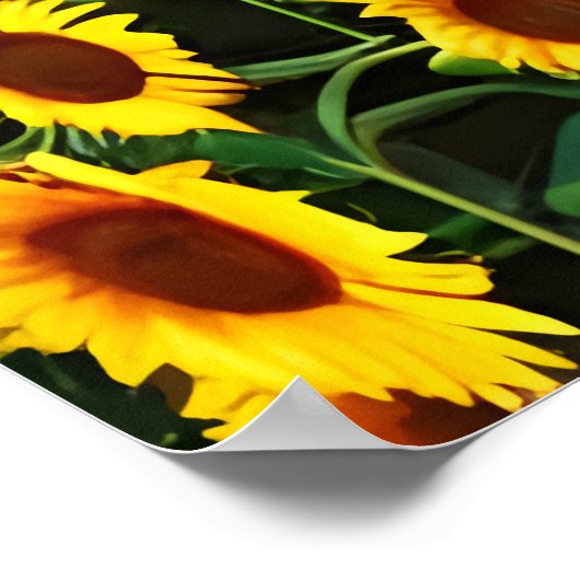 Zonnebloem buiten de stad | AI Art Poster (Hoek)