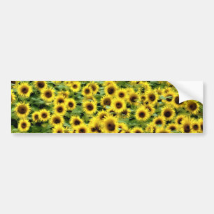 Zonnebloem Bumpersticker