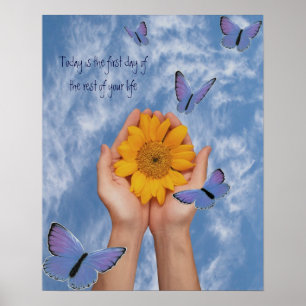 Zonnebloem Butterflies Poster