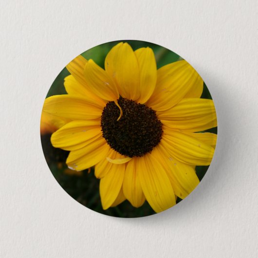 Zonnebloem Button (Voorkant)