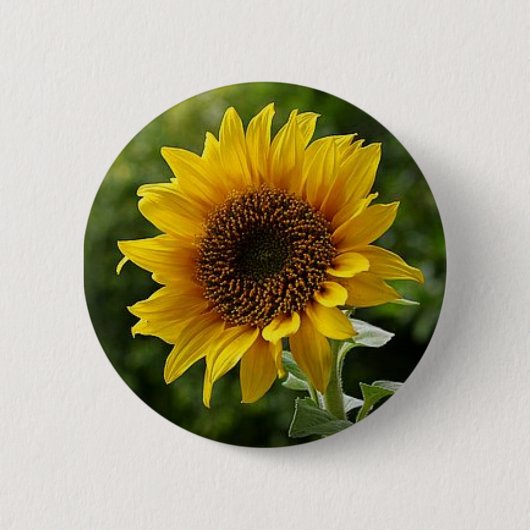 Zonnebloem Button (Voorkant)