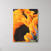 Zonnebloem Canvas Afdruk (Voorkant)