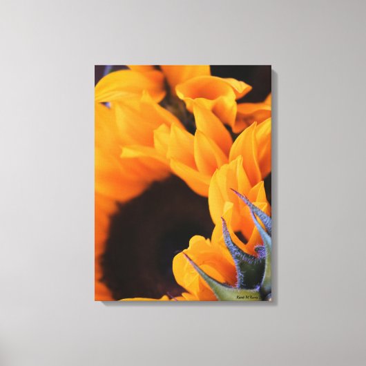 Zonnebloem Canvas Afdruk (Voorkant)