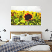Zonnebloem Canvas Afdruk (Insitu (Slaapkamer))