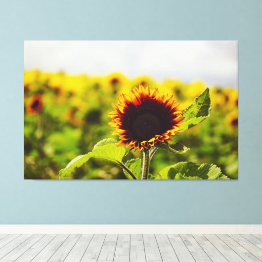 Zonnebloem Canvas Afdruk (Insitu (Houten vloer))