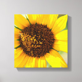 Zonnebloem Canvas Afdruk