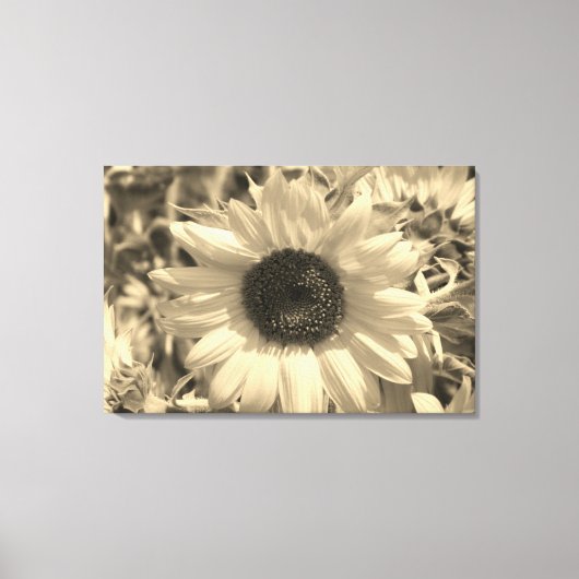 zonnebloem canvas afdruk (Voorkant)