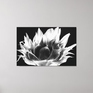 Zonnebloem Canvas Afdruk