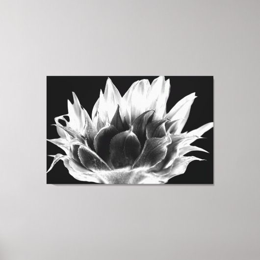 Zonnebloem Canvas Afdruk (Voorkant)