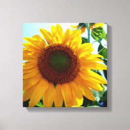 Zonnebloem Canvas Afdruk