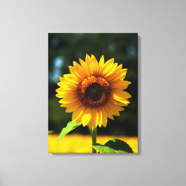 Zonnebloem Canvas Afdruk