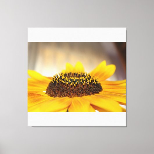 Zonnebloem Canvas Afdruk (Voorkant)