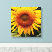 Zonnebloem Canvas Afdruk (Insitu (Houten vloer))