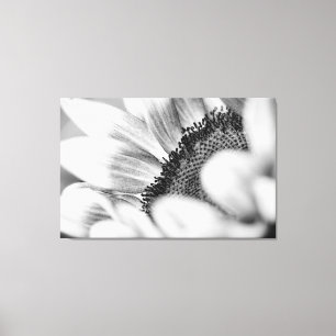 Zonnebloem Canvas Afdruk